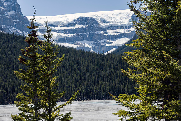 09_pana0563_icefieldparkway