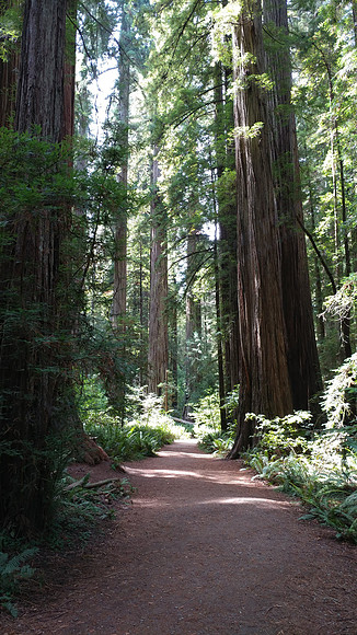 04_StoutGrove_20190820_131431