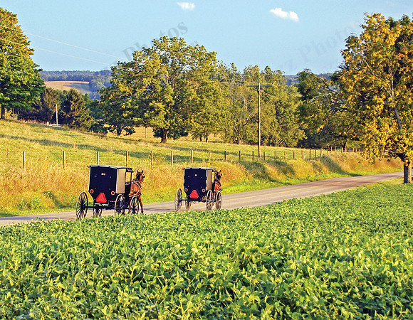07 Amish Buggies RGB