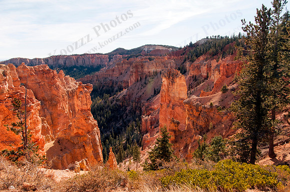 01_blackbirchcanyon_DSC_6288