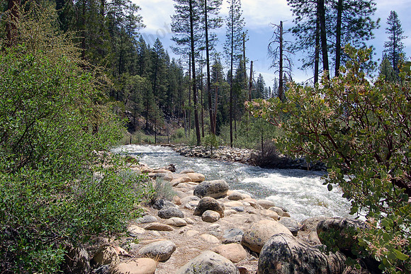 Our picnic spot in Yosemite Valley