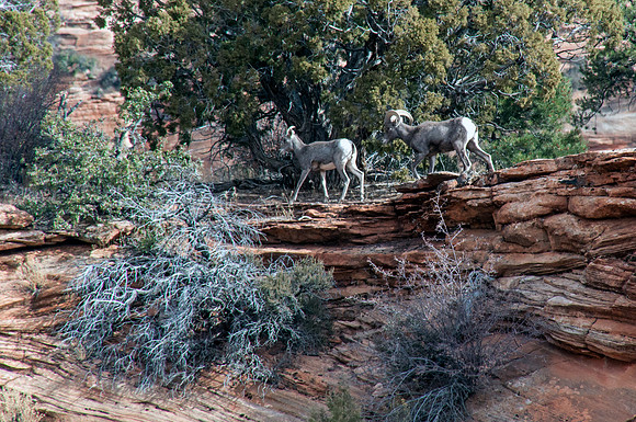02e_checkerboardmesa3_DSC_6397_edit_crop