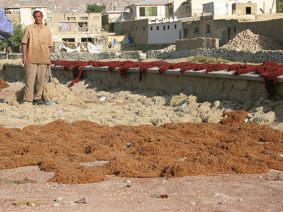 Dyed yarn drying on Kabul street