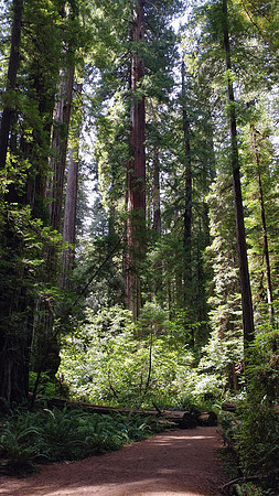 04_StoutGrove_PSX_20190820_202425