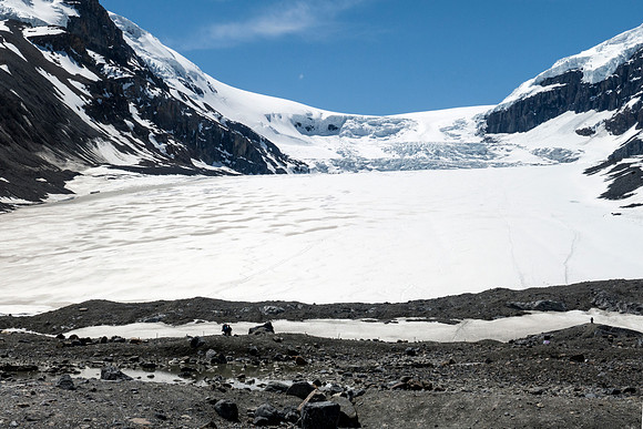 10_pana0553_athabascaglacier