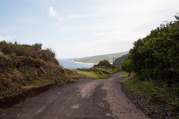 DSC_4143