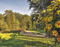 03_Inniswood DSC_3286_Balanced_edit
