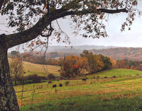 11_Malabar Farm DSC_4038