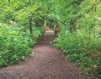 09_HoneyRunPark_CMYK
