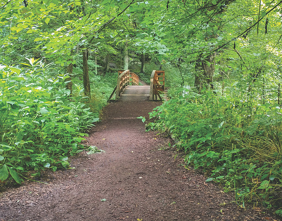 09_HoneyRunPark_CMYK