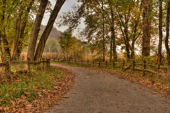 Country Road near Blissfield