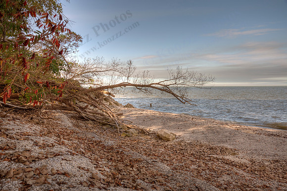 Lake Erie Shore at Magee Marsh