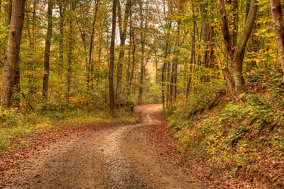 Back Road Near Bakersville